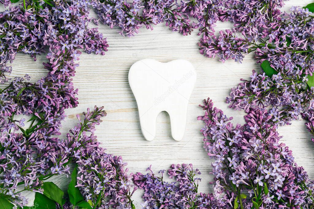 White tooth surrounded by lilac flowers. Dental health concept. Flat lay, top view, copy space for text.
