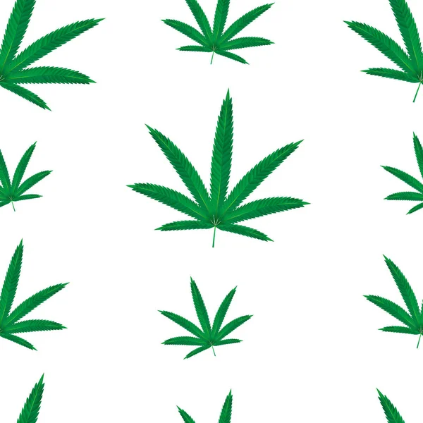 Seamless pattern of marijuana leaves. Cannabis leaves isolated on white. — 스톡 벡터