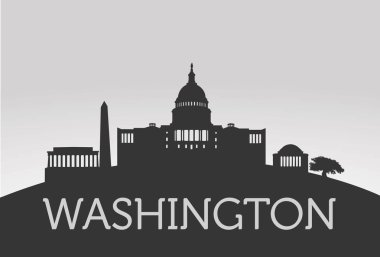 Washington siluet kavramı