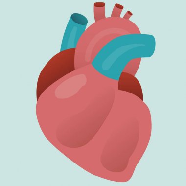 Gerçek insan orgran