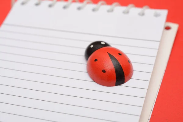 Vista de cerca de Ladybird en el cuaderno de la escuela — Foto de Stock