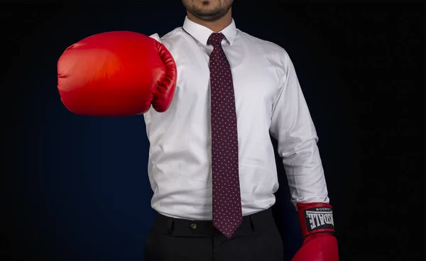 Professional ready for any challenge with boxing gloves banner template — Stock Photo, Image