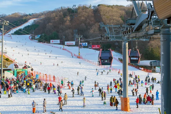 Vivaldi Park síközpont Koreában. — Stock Fotó