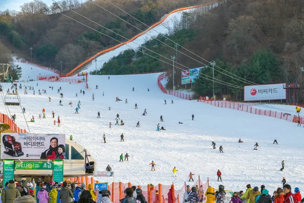 Vivaldi park skigebiet in Korea. — Stockfoto