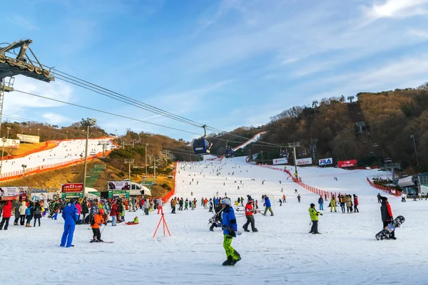 Vivaldi park skigebiet in Korea. — Stockfoto