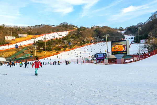 Station de ski Vivaldi Park en Corée . — Photo