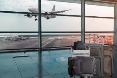 Terminal havaalanı Bagaj grubu 