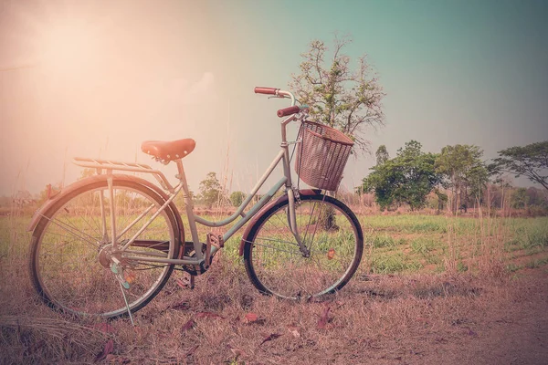 Piękny rower starodawny. — Zdjęcie stockowe
