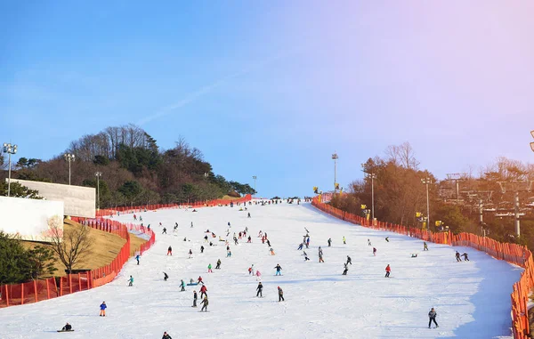 Népszerű téli ski sport. — Stock Fotó