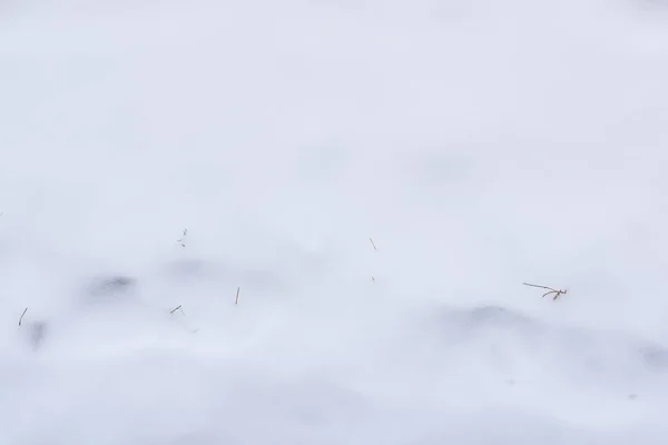 Pegadas na neve no inverno . — Fotografia de Stock