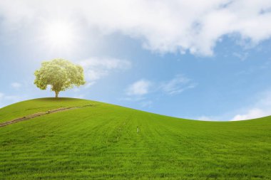 beautiful green nature 
