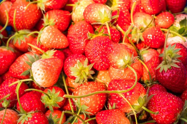 Grupo de fresas frescas — Foto de Stock