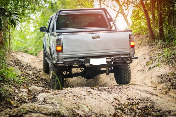 4 wheel drive in the forest — Stock Photo, Image