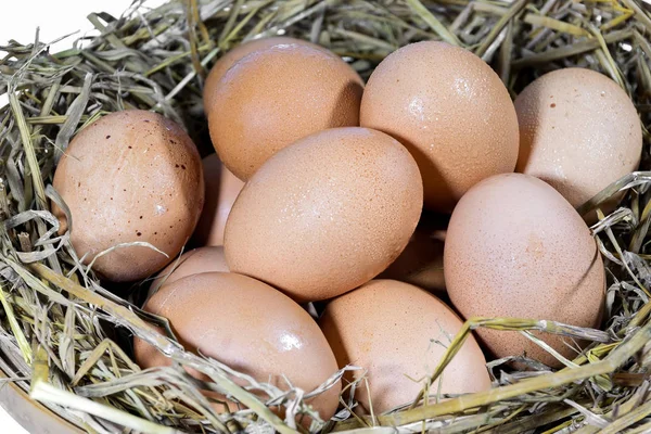 Skupina vajec slámou — Stock fotografie
