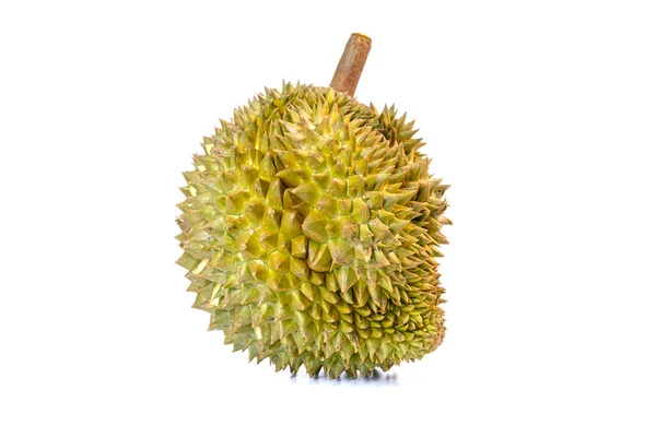 Monthong Durian Fruta Mais Exportada Tailândia Isolada Fundo Branco — Fotografia de Stock