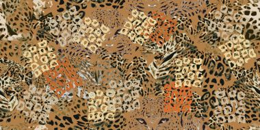 Safari rüyalar. Grunge arka plan ile leopard Spotlar.