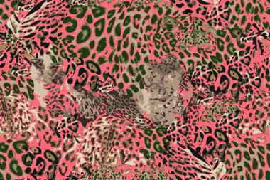 Safari rüyalar. Grunge arka plan ile leopard Spotlar.