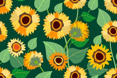 Altın ayçiçeği alan. 