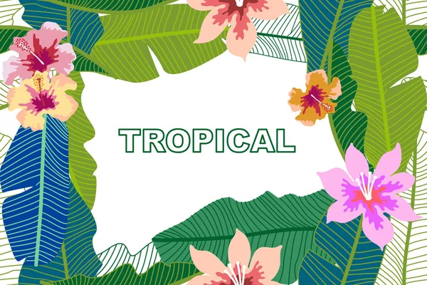 Fondo tropical de moda con hojas de plátano y flores de hibisco . — Vector de stock