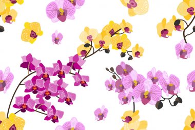 Renkli tropikal çiçek açan orkide gri arka plan üzerinde ile yazdırma. 