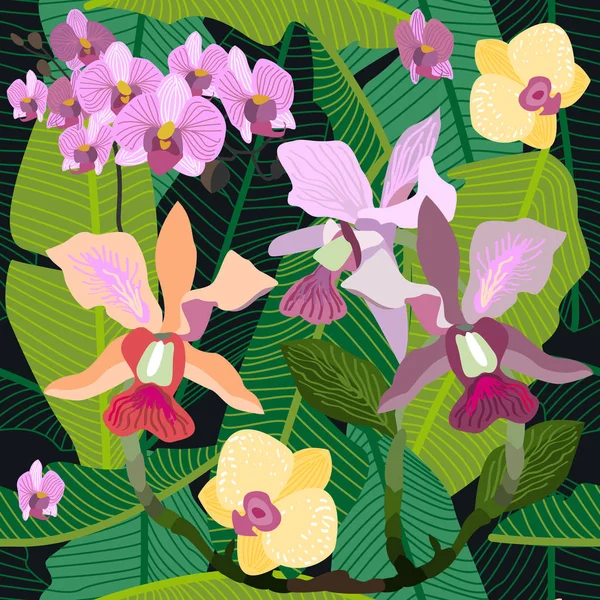 Royal orchids blossom. — Stock Vector