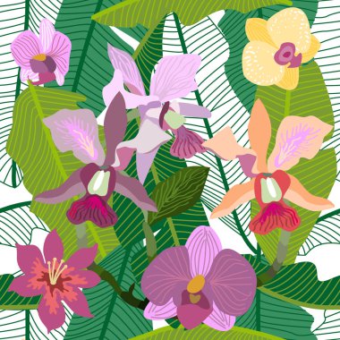 Kraliyet orkide çiçeği. 