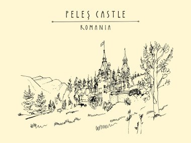 kartpostal Peles Kalesi ile