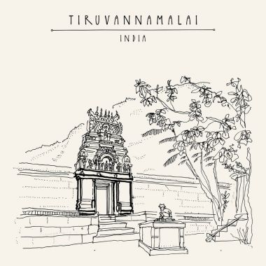 Tiruvannamalai, Tamil Nadu, Hindistan. 