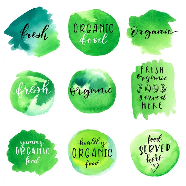 Etiquetas Alimentos Orgánicos Frescos Fondos Acuarela Verde Caligrafía Moderna Letras — Vector de stock