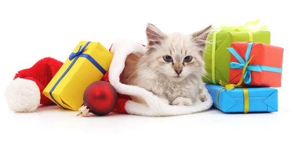 Kotě s vánoční dárky. — Stock fotografie