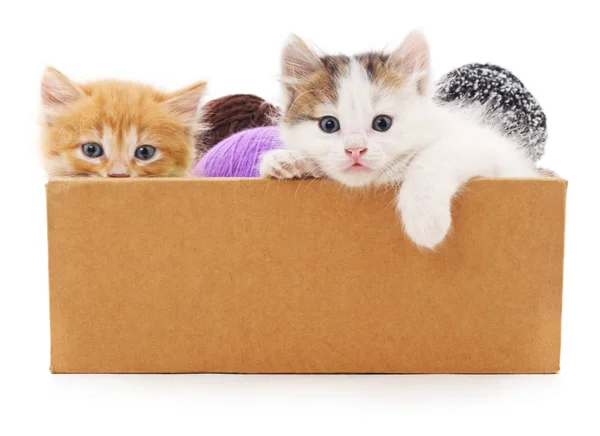 Котенок и разноцветные шарики в коробке . — стоковое фото