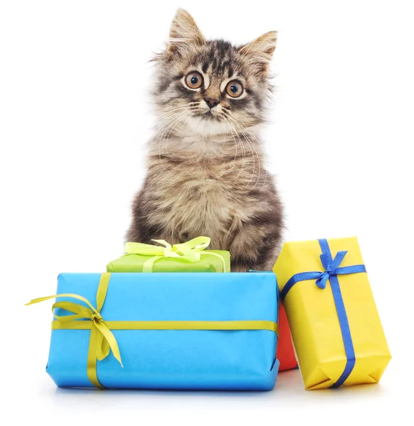 Kotek z Boże Narodzenie prezenty. — Zdjęcie stockowe
