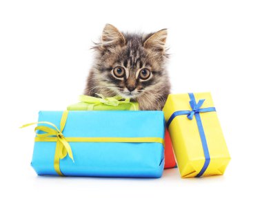 Yavru kedi ve Noel hediyeleri.