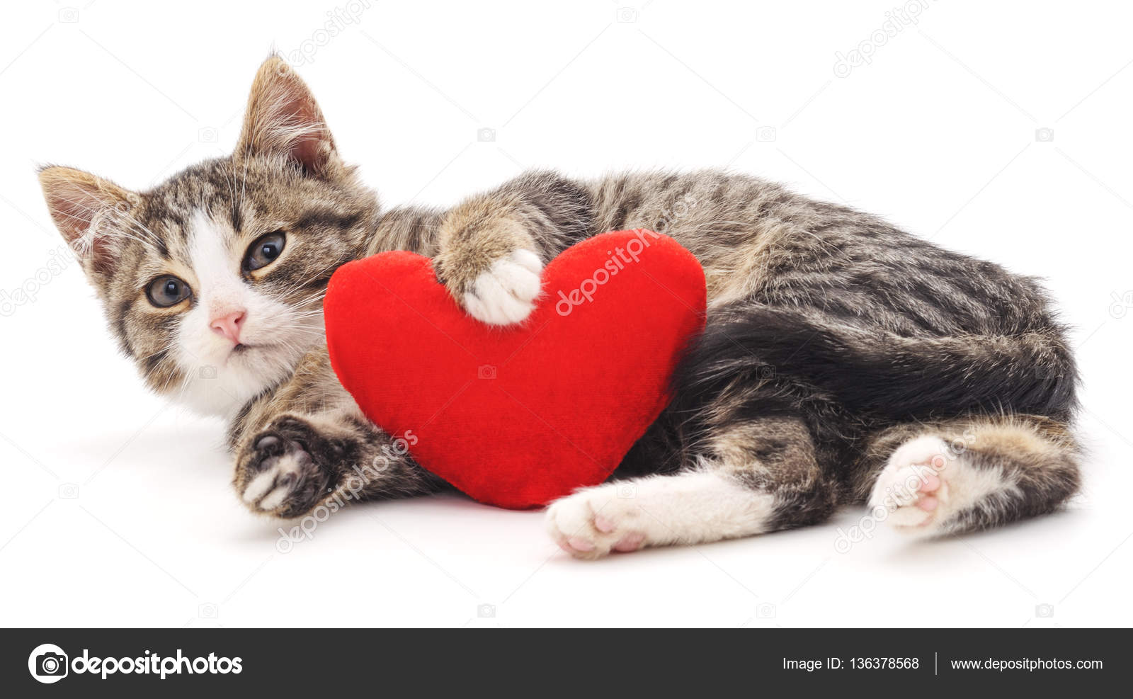 Gray kitten and red heart. — Stock Photo © Voren1 #136378568