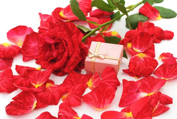 Красные розы и подарок . — стоковое фото