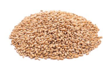 Hububat buğday izole.