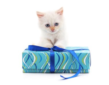 yavru kedi ve hediye.