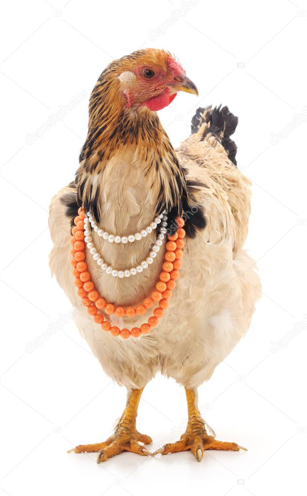 Red chicken in the necklace.
