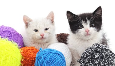 Kediler ve renkli topları.