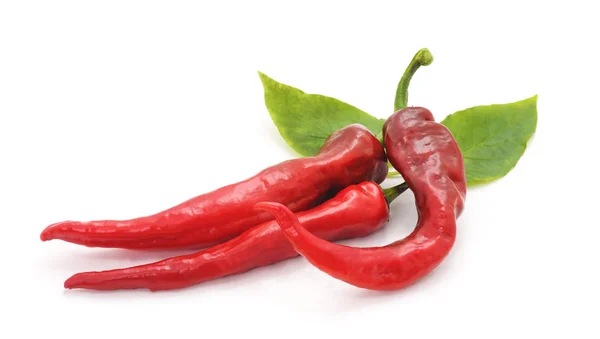 Tiga paprika terisolasi . — Stok Foto