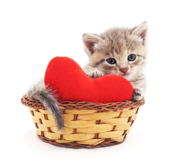 Кіт з іграшковим серцем . — стокове фото