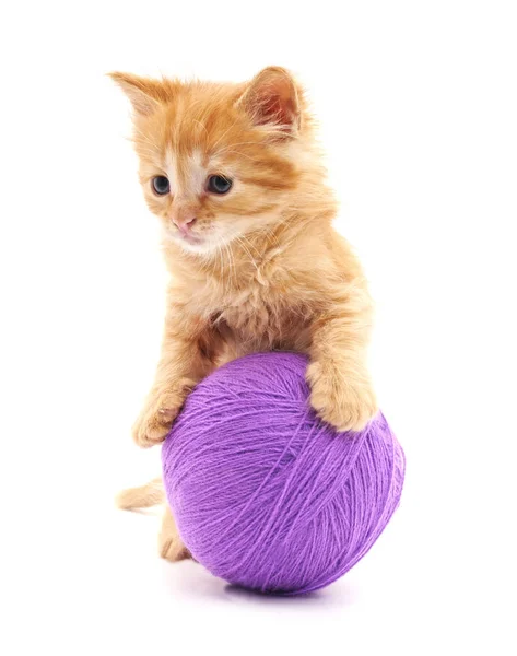 Gatito rojo con pelota . — Foto de Stock