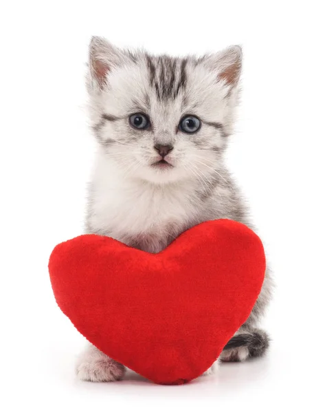 Kitten met speelgoed hart. — Stockfoto