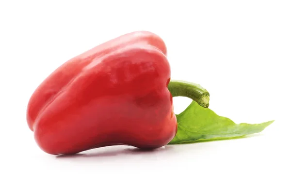 En röd paprika. — Stockfoto