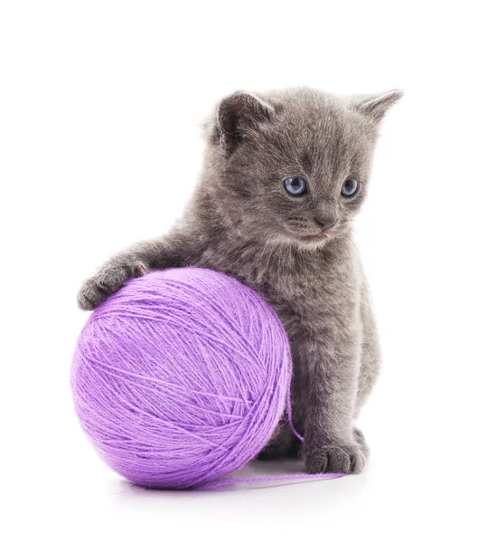 Pequeño gatito con bolas moradas . — Foto de Stock