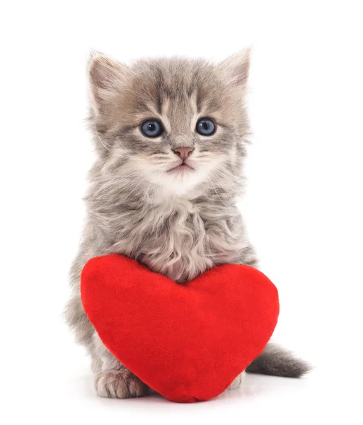 Oyuncak kalp ile yavru kedi.