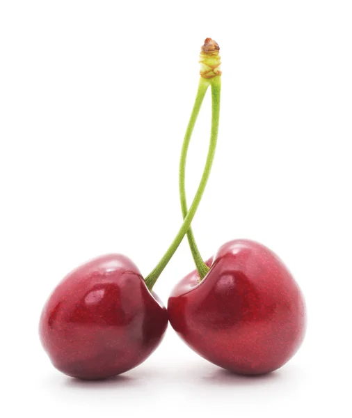 Two cherries isolated. — Stock Photo, Image