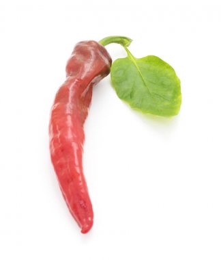 bir kırmızı biber.