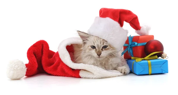 Gatinho com presentes de Natal . — Fotografia de Stock