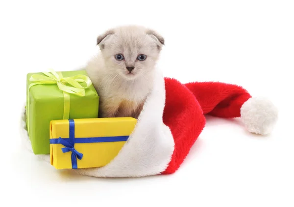 Chaton avec cadeaux de Noël . — Photo